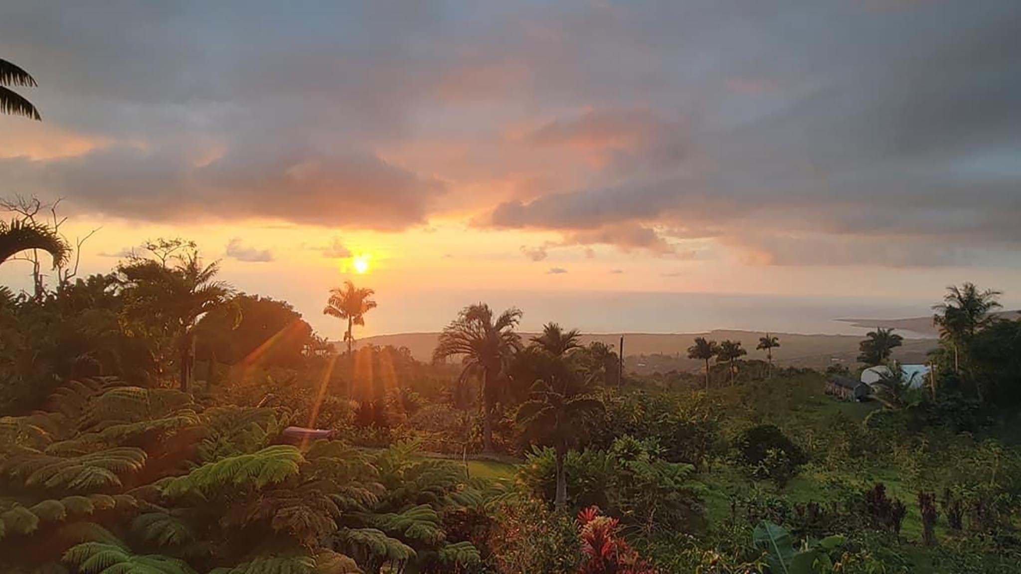 ハワイ島コナ地区のコーヒー農園に落ちる夕陽
