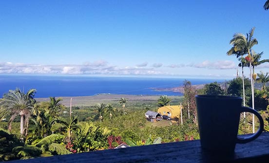 コナファーストのコーヒー豆はハワイ島コナ地区標高800mの高地で栽培されています。